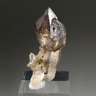 QUARTZ (scepter)