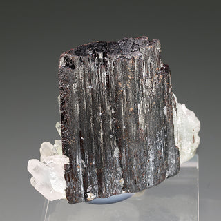 HÜBNERITE, QUARTZ AND MUSCOVITE