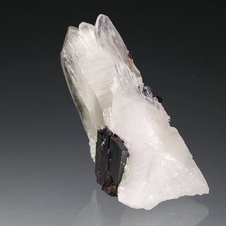HÜBNERITE, QUARTZ AND MUSCOVITE