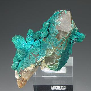 CHRYSOCOLLA, QUARTZ