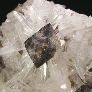 SCHEELITE, QUARTZ, QUARTZ JAPAN LAW TWIN