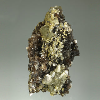 FLUORAPATITE, SIDERITE, MUSCOVITE