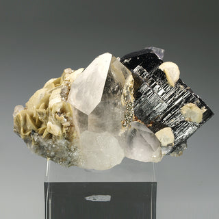 FERBERITE QUARTZ FLUORAPATITE SIDERITE PYRITE