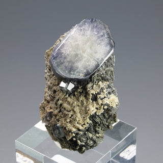 FLUORAPATITE, QUARTZ, SIDERITE, MUSCOVITE