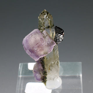 FLUORITE, QUARTZ, FERBERITE, MUSCOVITE