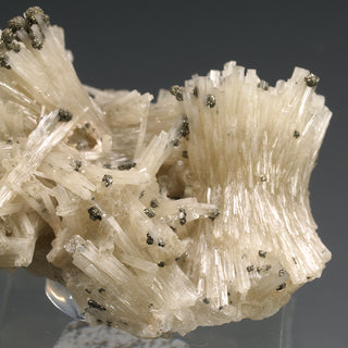 FLUORAPATITE, PYRITE