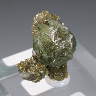 LUDLAMITA, PIRITA, SIDERITA, CUARZO